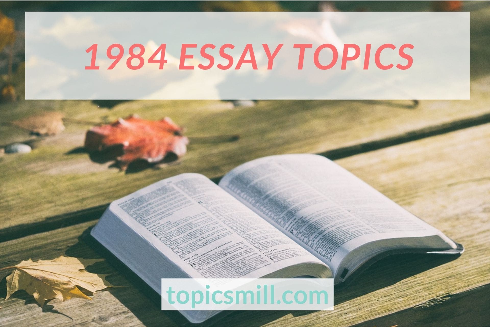 1984 essay