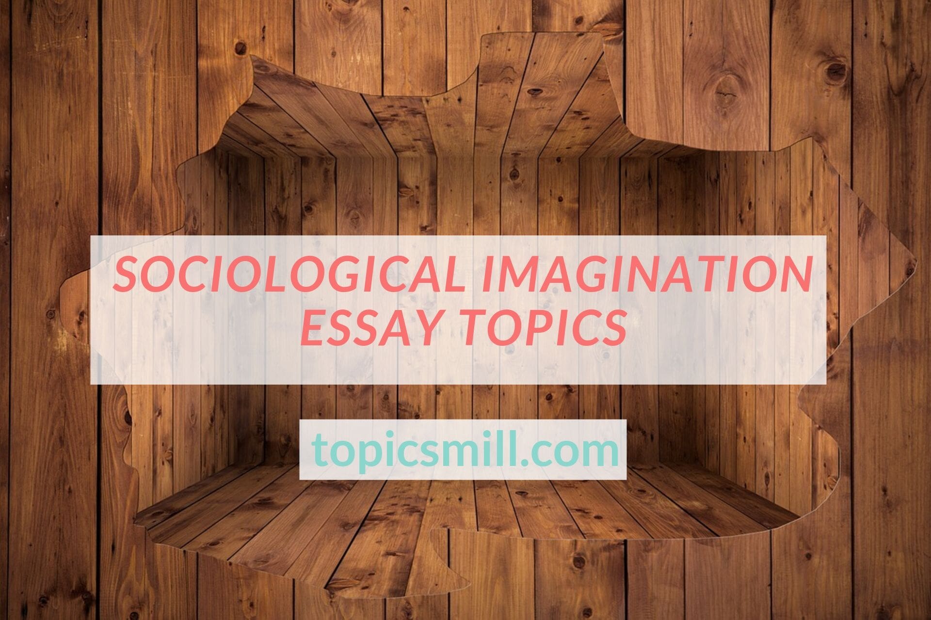 Sociological essay topics