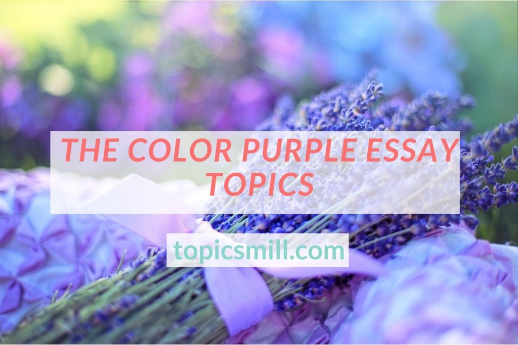 the color purple topics for essays